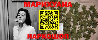 jwh Новозыбков