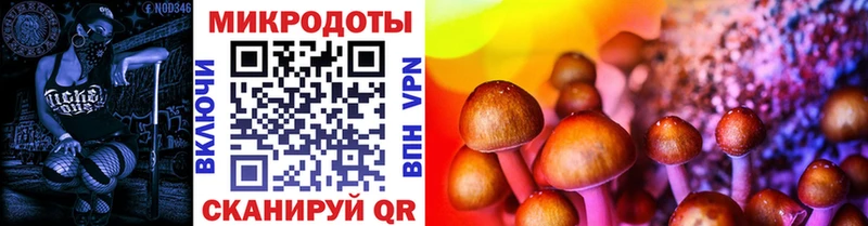 Галлюциногенные грибы Magic Shrooms  где купить наркоту  MEGA как войти  Рыбинск 