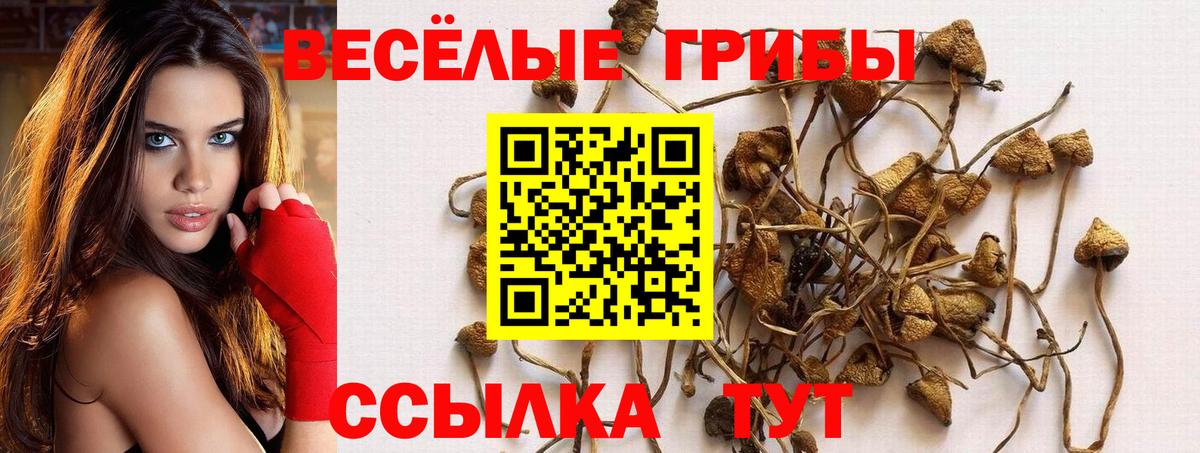 Рыбинск  даркнет сайт  Вход с VPN  Псилоцибиновые грибы Psilocybine cubensis  Галлюциногенные грибы мицелий 